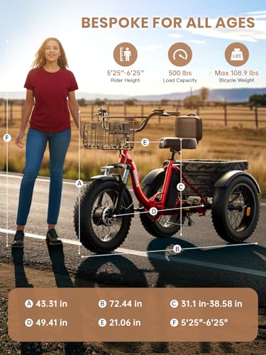 Electric Trike 20" Fat Tire 3 Wheel Folding Electric Tricycle H988