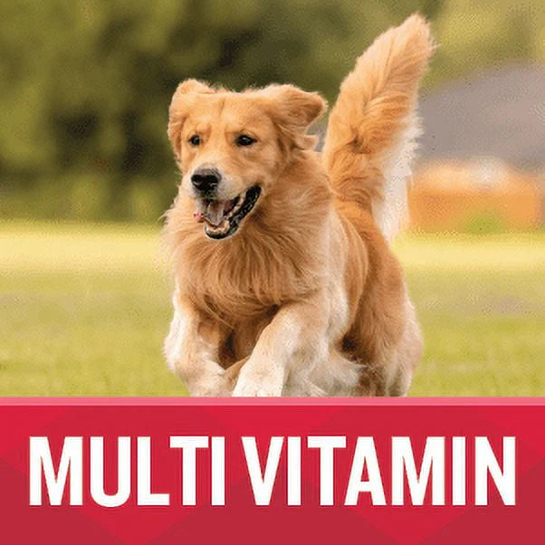 Soft Chews Dog Supplement 7.4 oz 60 Count Z5912