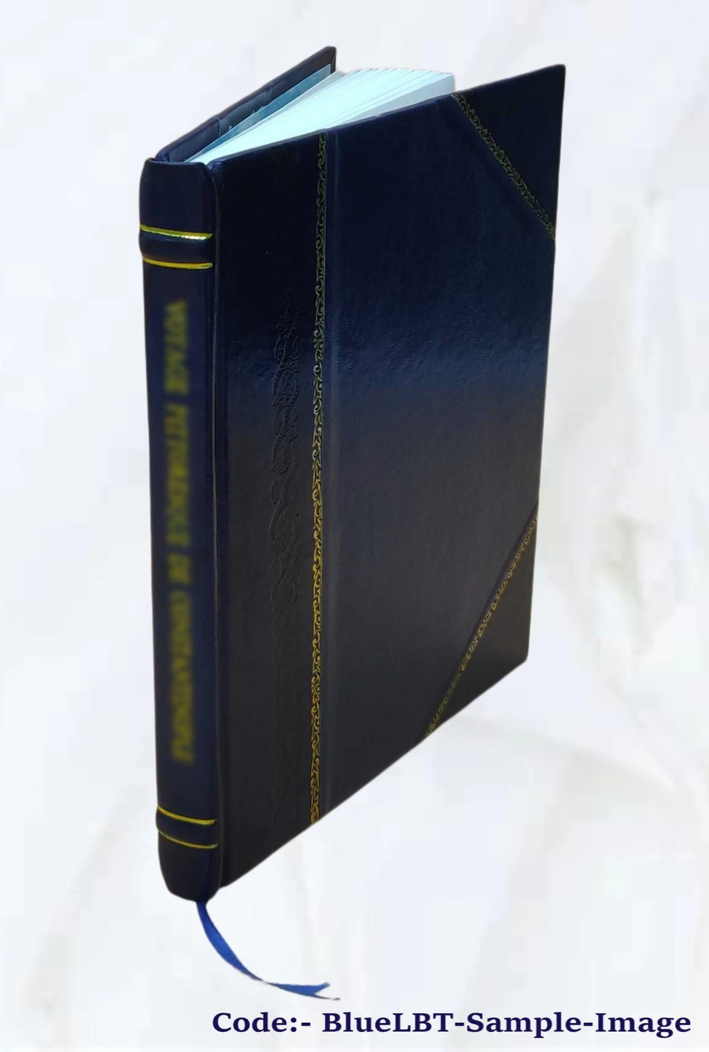 Leather Bound Book E543015