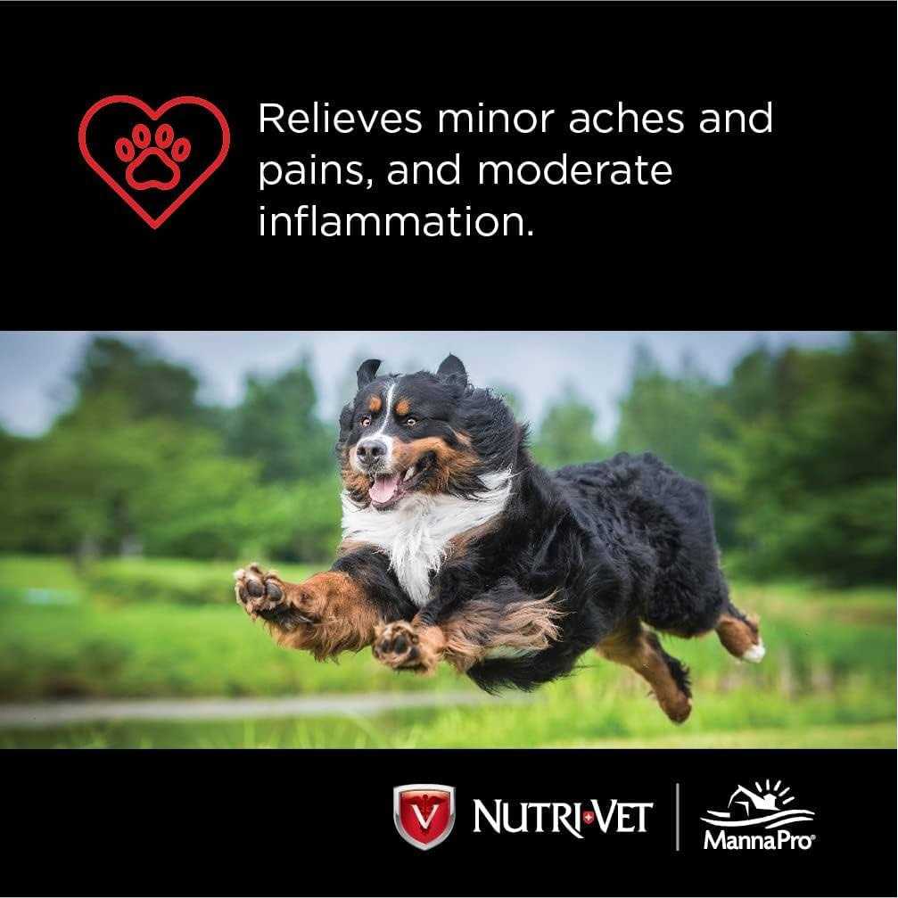 Small Dog Chewables 100 Count K325879