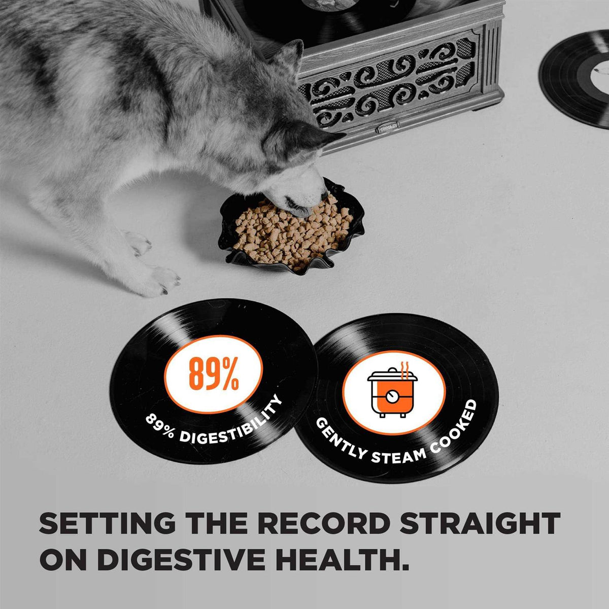 Grain Free Dry Dog Food Chicken I4451