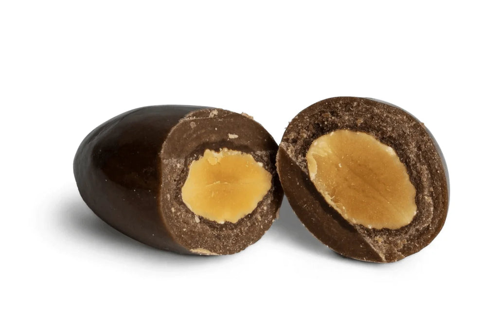 Dark Chocolate-Covered Almonds 20 lbs H360