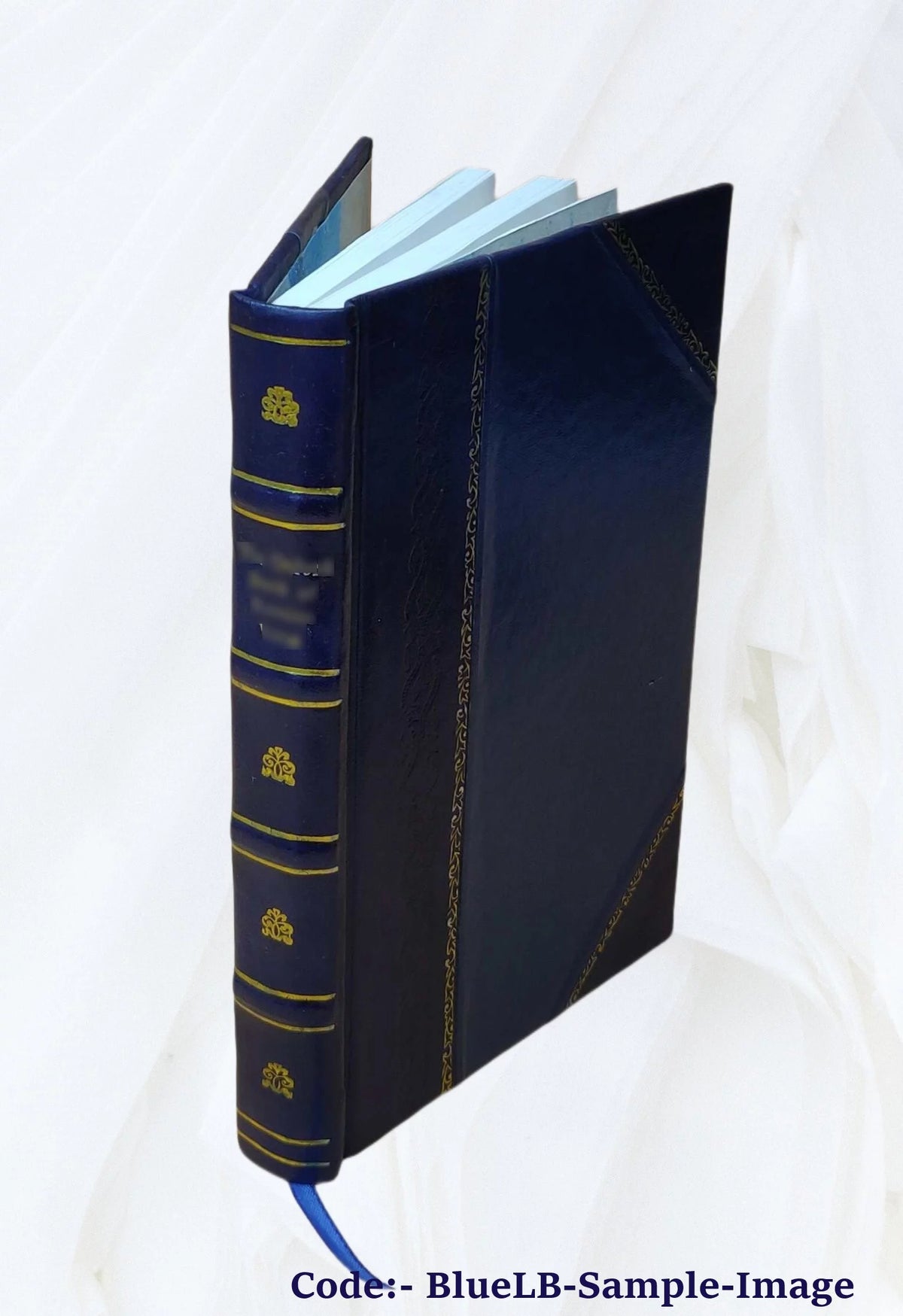 1917 Leather Bound X226508