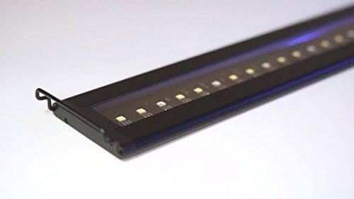 Satellite Plus Pro LED Light O580213