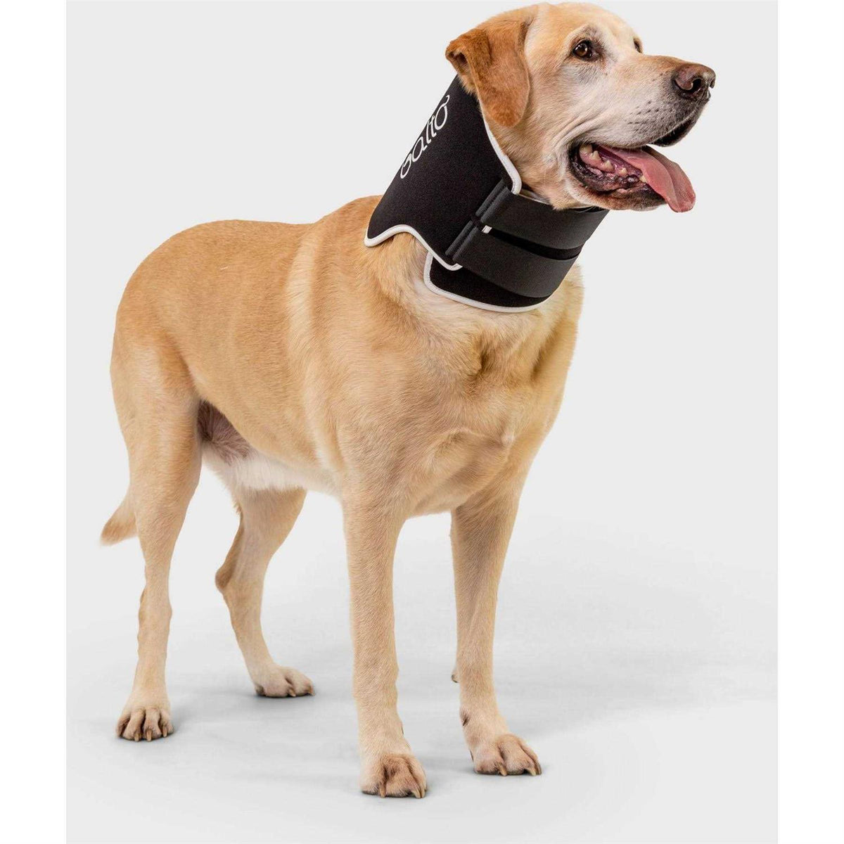 Dog Cone Alternative E-Collar R20703