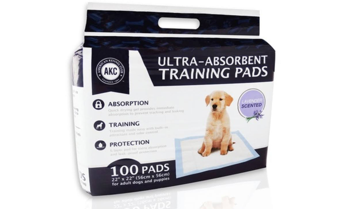 Lavender Blue Puppy Training Pads B202046
