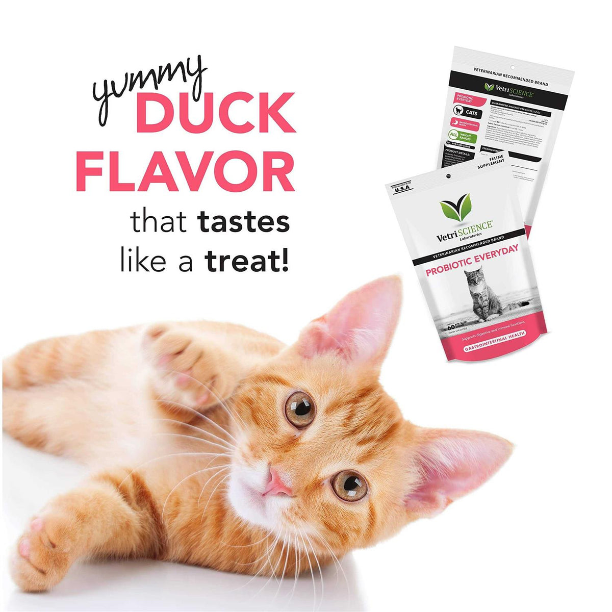 Probiotic for Cats C339324