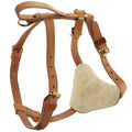 Leather Tracking Harness X701644