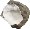 Quartz India Minerals Mineral Stone G484001