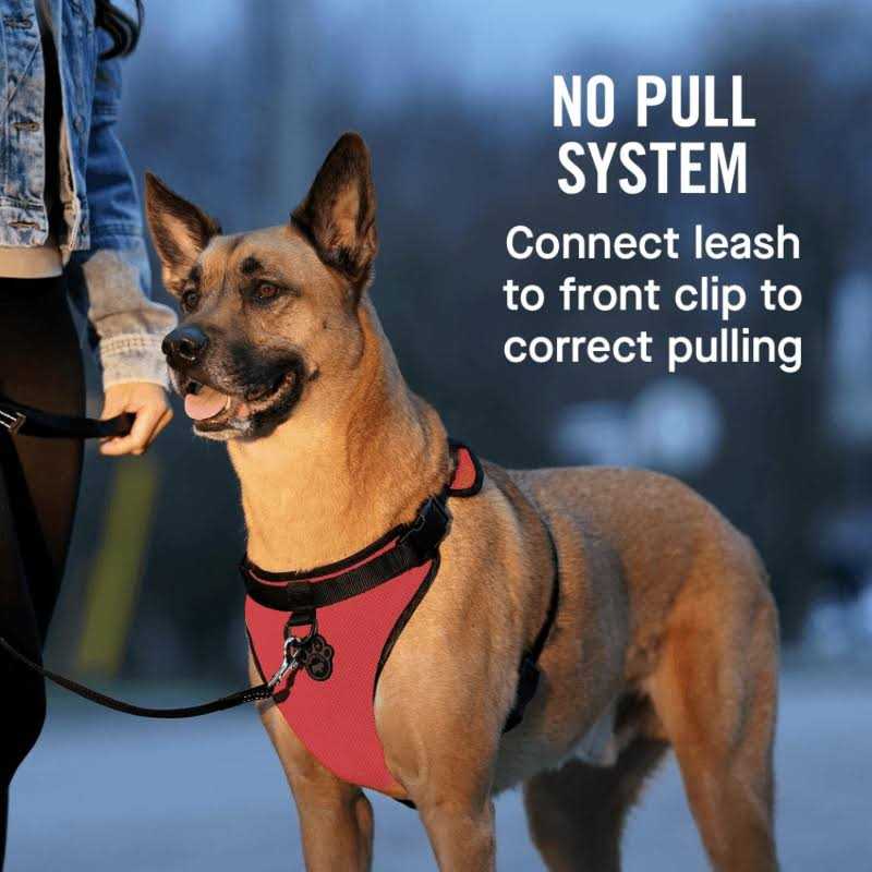 Dog Harness P7745