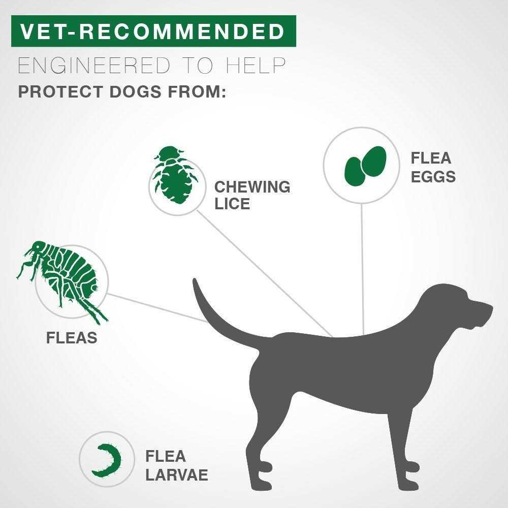 Advantage II for Dogs M8130