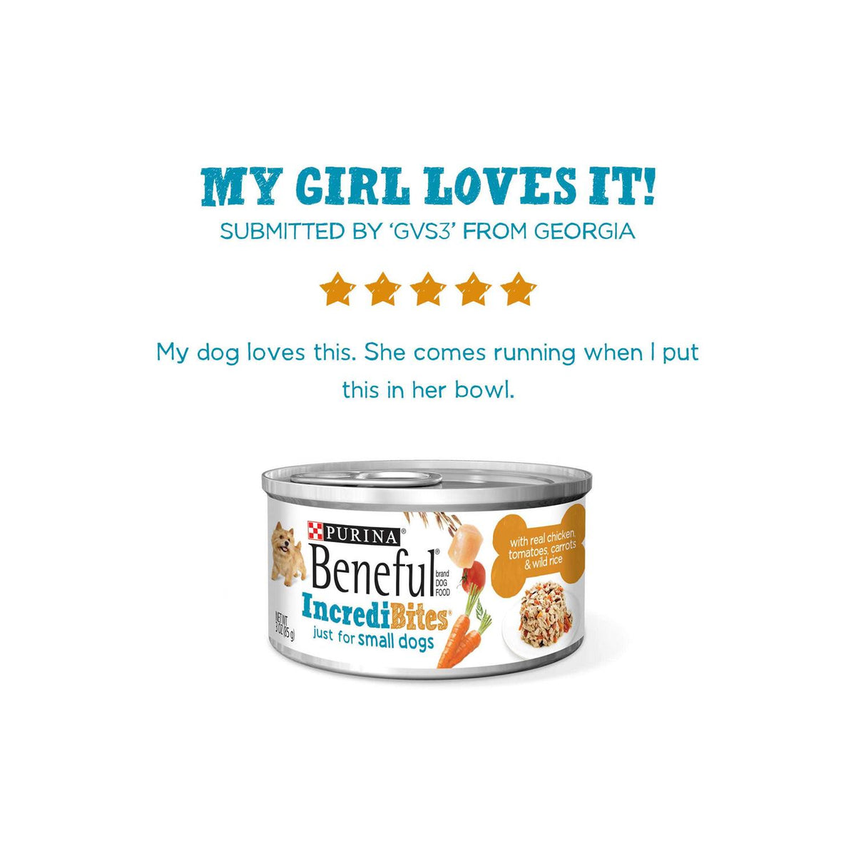 Wet Dog Food Y9305