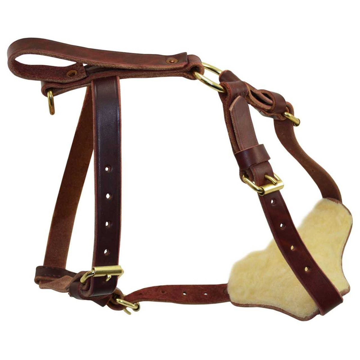 Leather Tracking Harness X701644