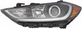Headlight Driver Side Halogen Sedan K488