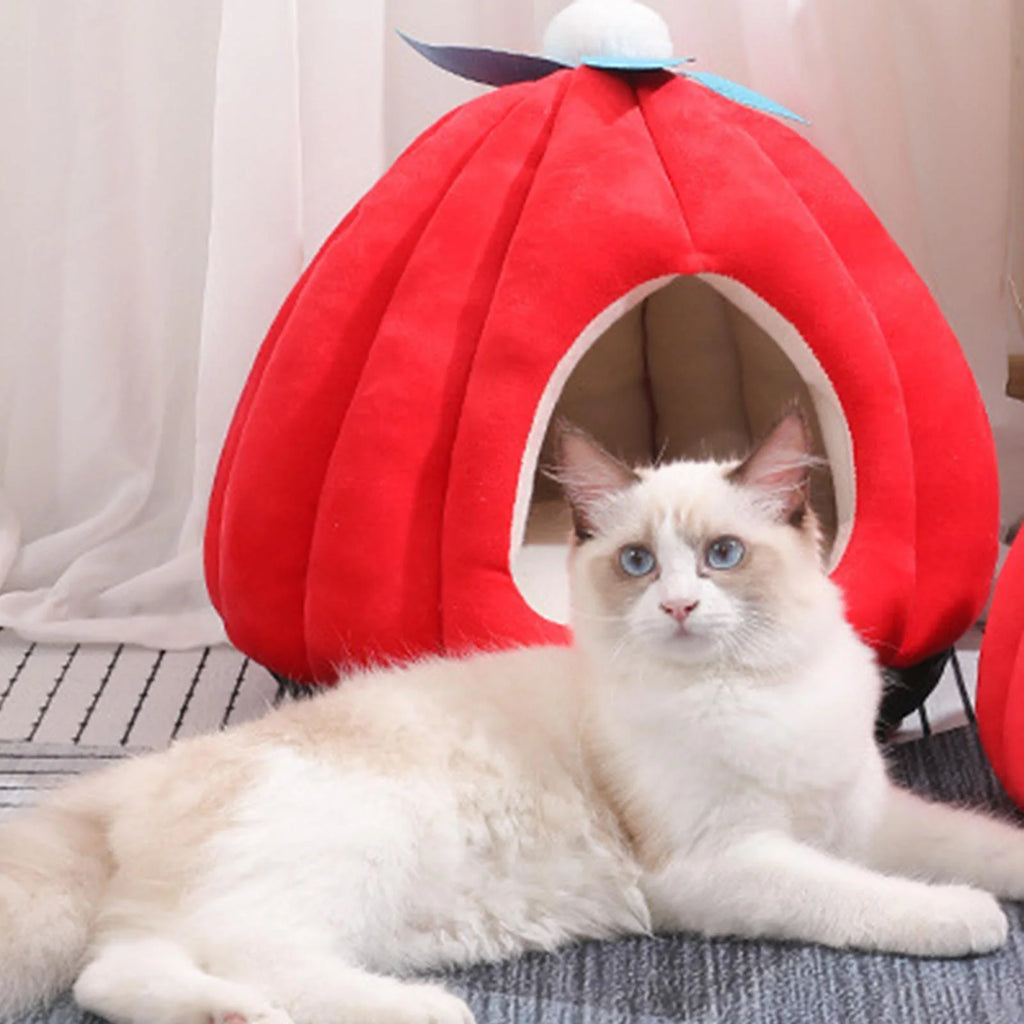Cat Bed Igloo Pet Bed Cat House Hut Kitten Bed Hideaway Small Dog Tent Bed T948