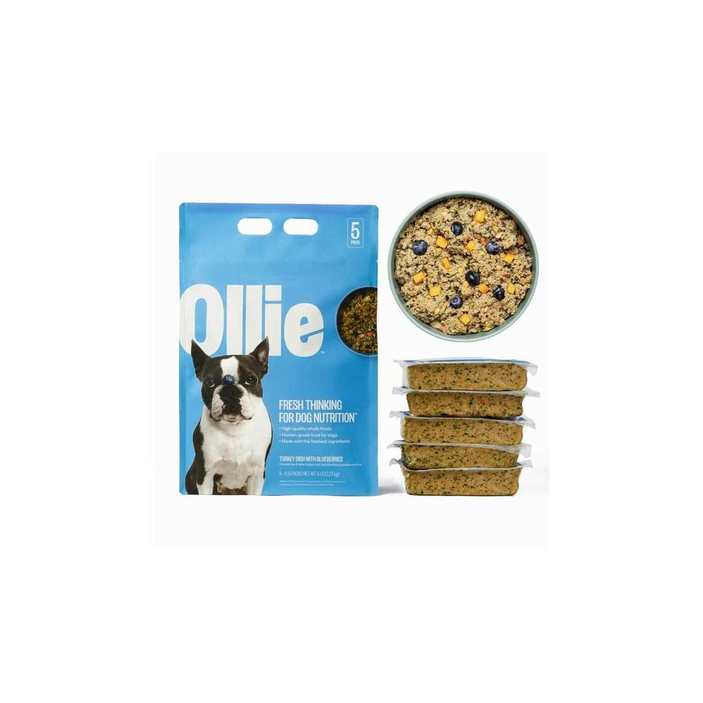 Turkey Dish with Blueberries Frozen Dog Food K629585