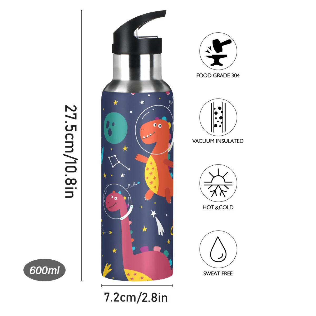 Stainless Steel Insulated Water Bottle with Straw Lid G50119