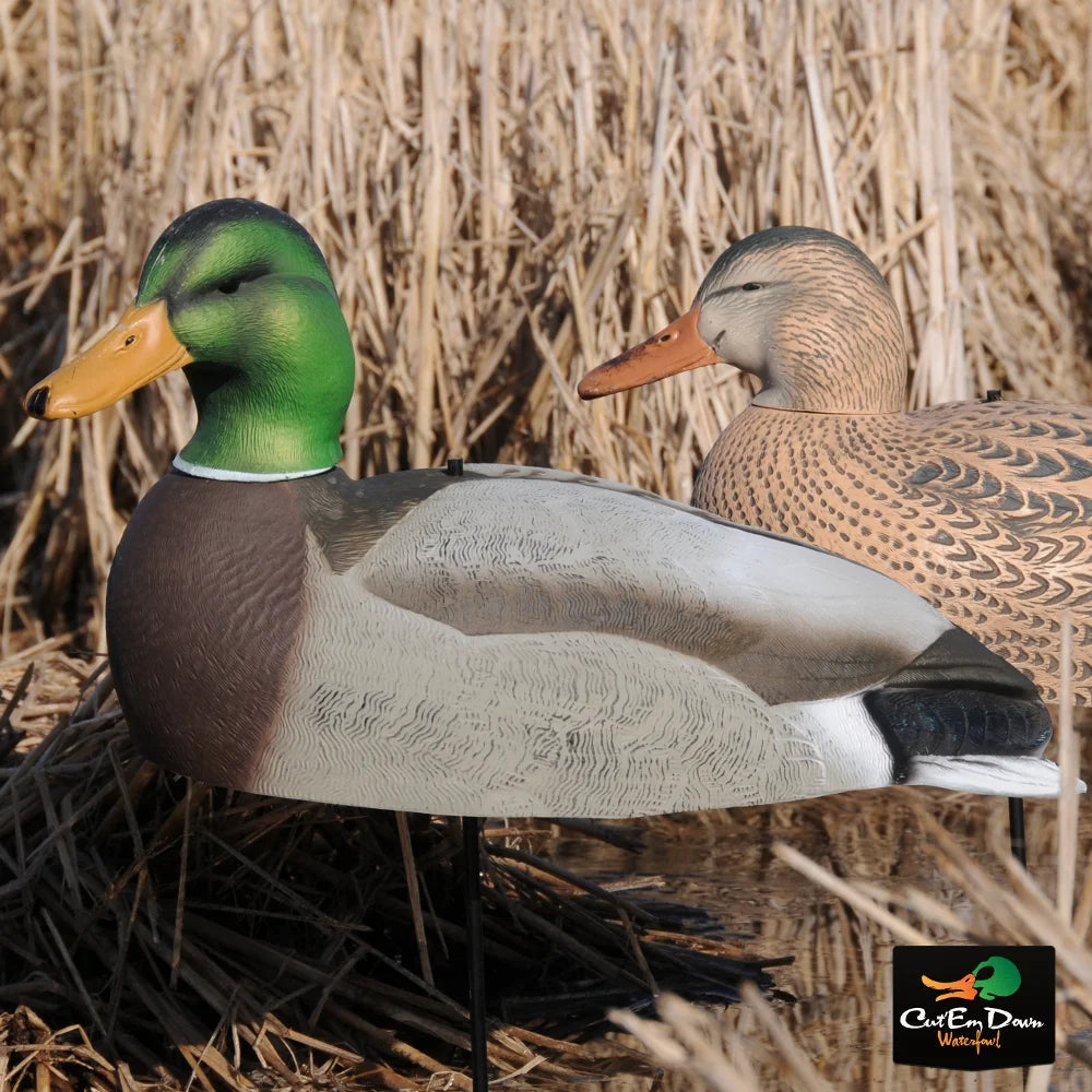 Dozen Mallard Duck Decoy Shells I112