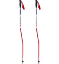 Carbon GS/SG Race Poles A612