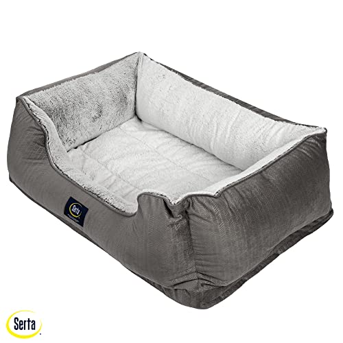 Slate Gray X-Large Orthopedic Dog Bed Y69684