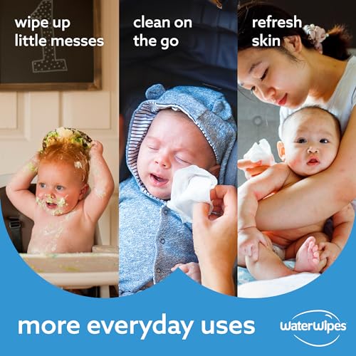 Plastic-Free Unscented Baby Wipes, 60 Count (Pack of 12) F364
