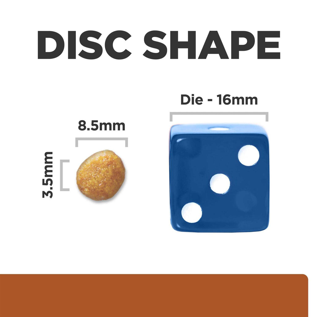 Dry Food I9567