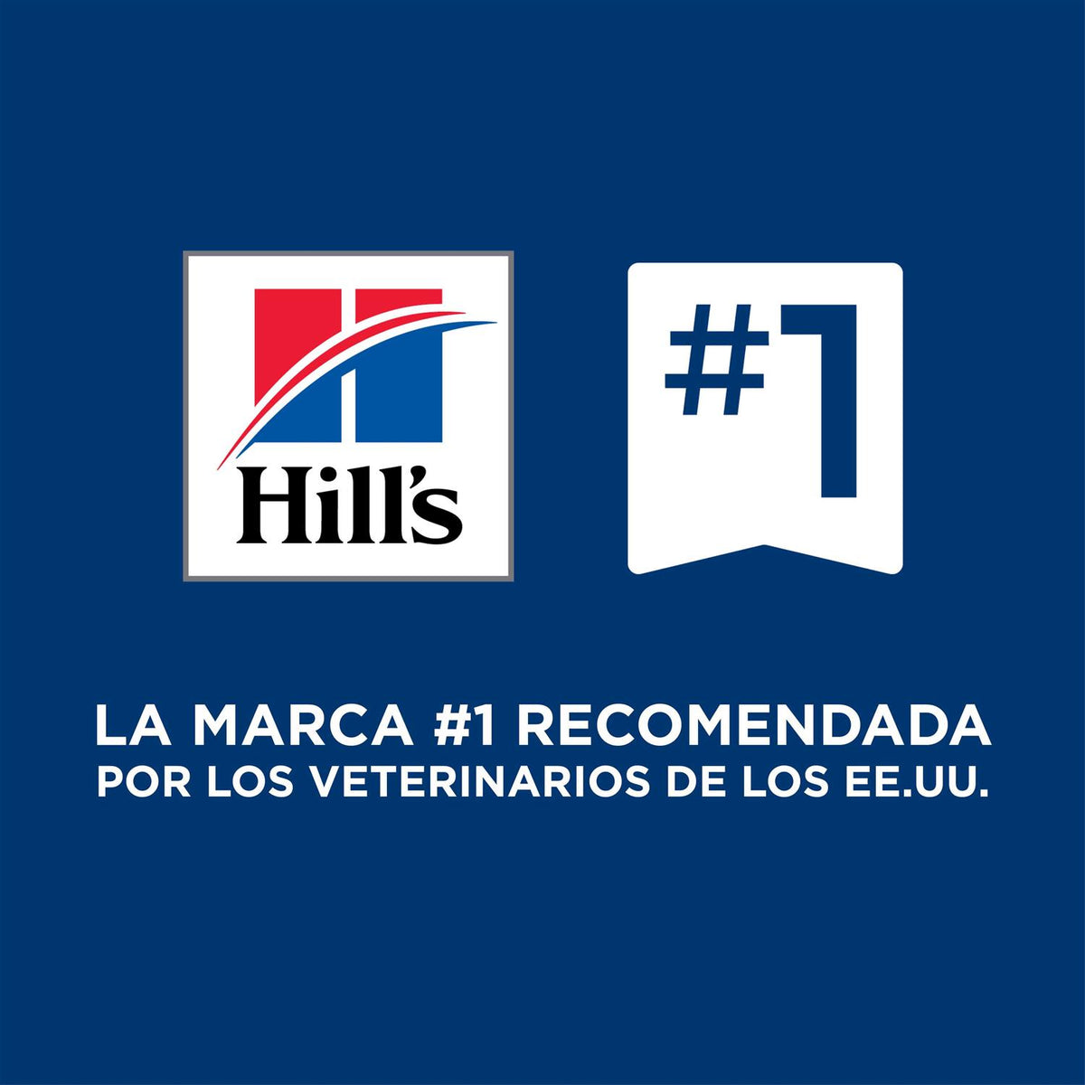 Dry Food I9567