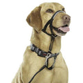 Headcollar X3626