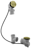 PVD Polished Brass Cable Drive Bath Waste V418