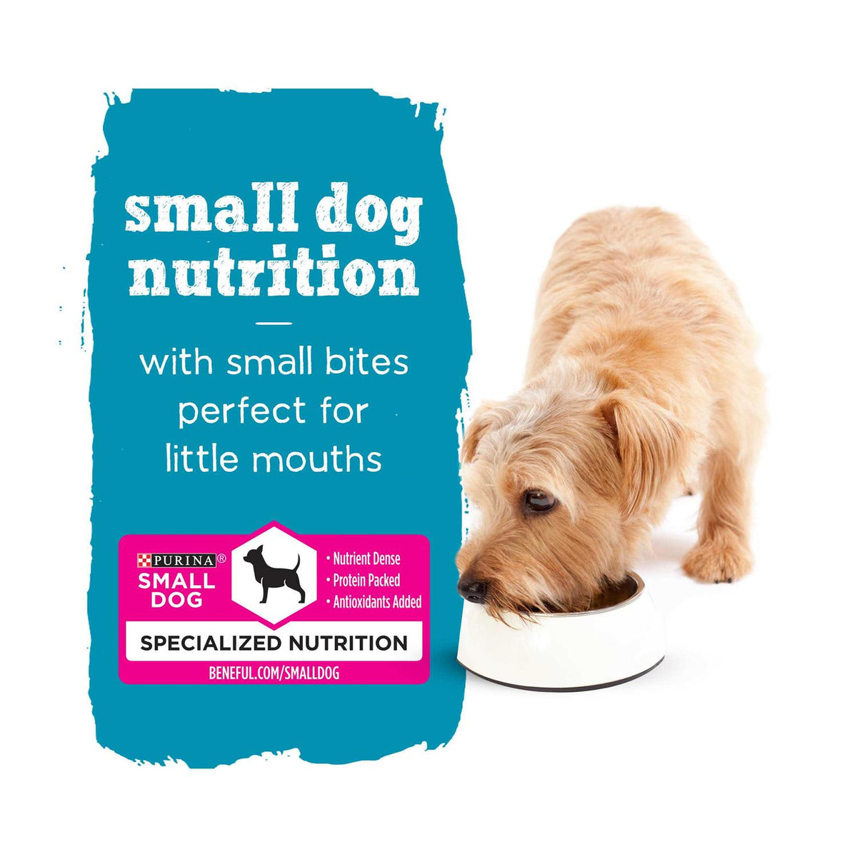 Wet Dog Food Y9305