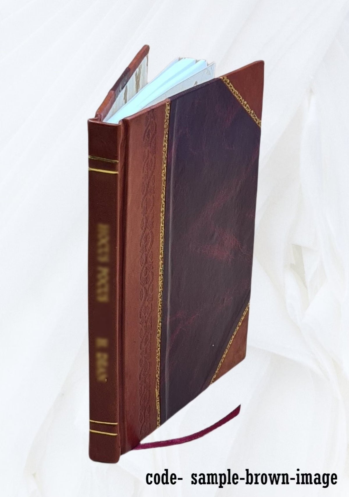 Leather Bound Book E543015