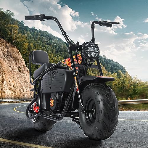 36V 1000W Electric Dirt Bike, 2-Speed Off-Road Motorcycle, Dark Red O838167