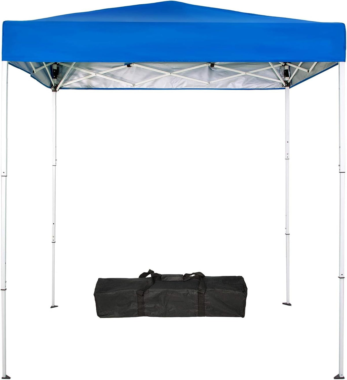 6x4 Ft Pop-Up Canopy Tent with Carry Bag R981926