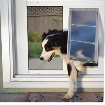 White Medium Cat Door R5886
