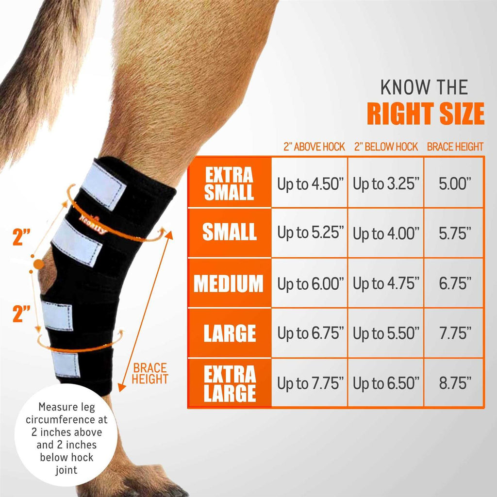 Dog Hind Leg Brace with Reflective Straps J626