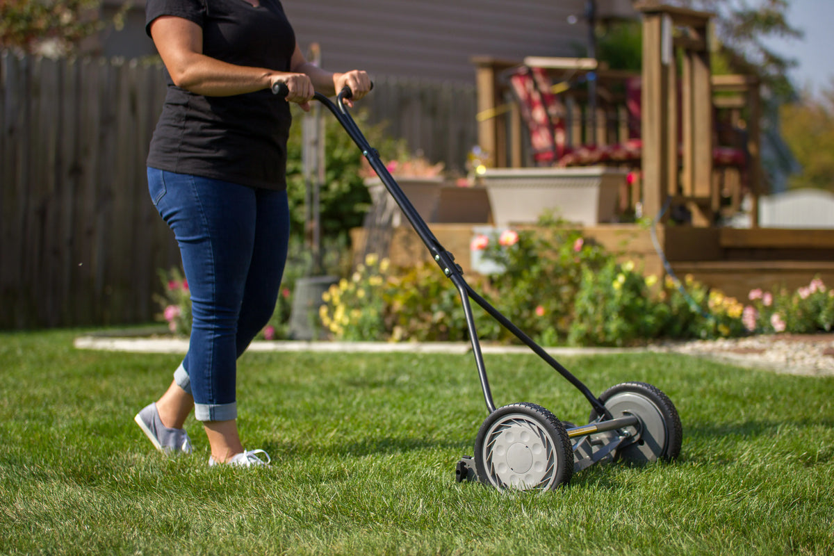16 5 Blade Push Reel Mower F1429