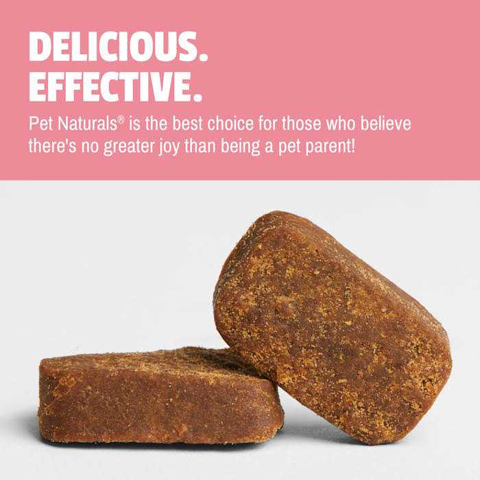 Daily Probiotic for Dogs V29029