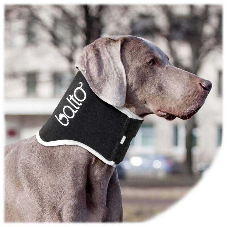 Dog Cone Alternative E-Collar R20703