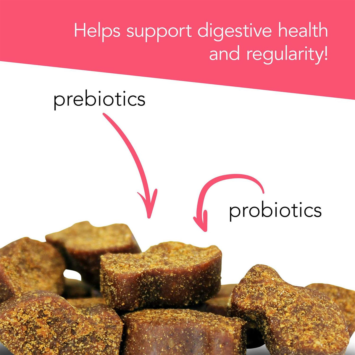 Probiotic for Cats C339324
