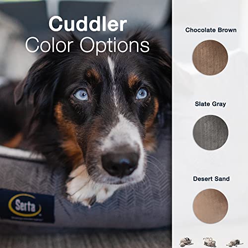 Slate Gray X-Large Orthopedic Dog Bed Y69684
