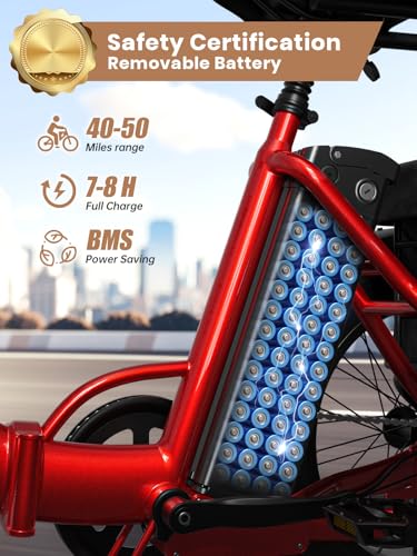 Electric Trike 20" Fat Tire 3 Wheel Folding Electric Tricycle H988