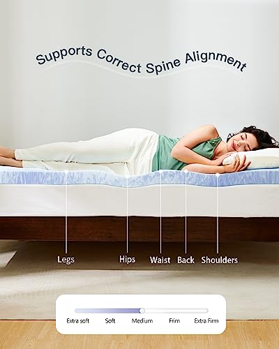 3 Inch Queen Memory Foam Mattress Topper Y7465