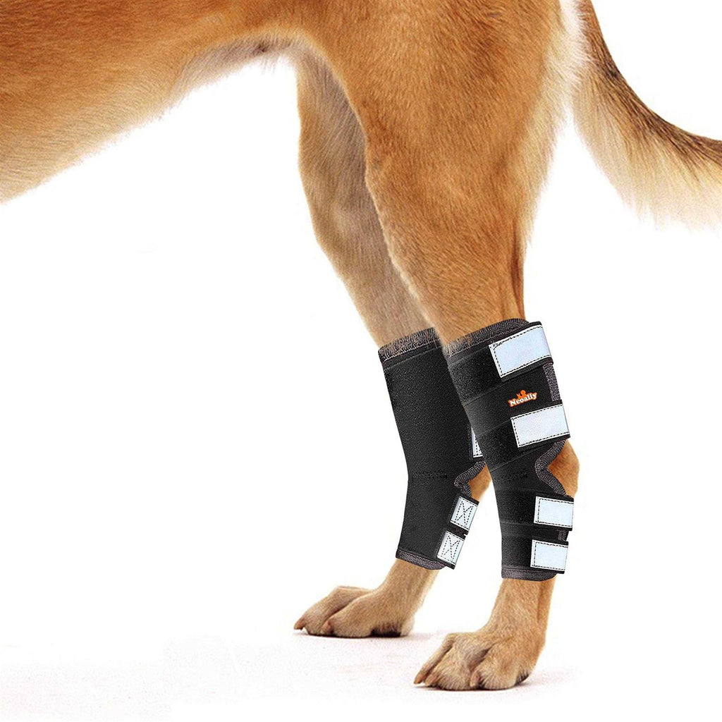 Dog Hind Leg Brace with Reflective Straps J626
