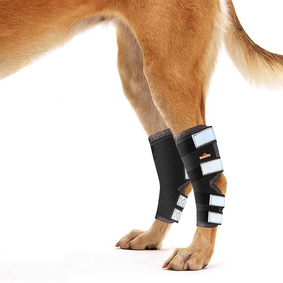 Dog Hind Leg Brace with Reflective Straps J626