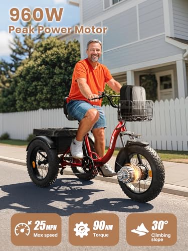 Electric Trike 20" Fat Tire 3 Wheel Folding Electric Tricycle H988