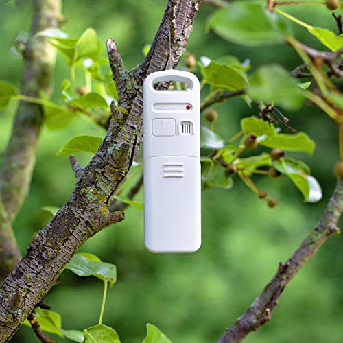 Color Weather Station L966