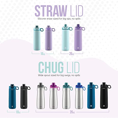 26 oz Vacuum Insulated Stainless Steel Water Bottle with Leak Proof Chug Lid and Silicone Carry Loop M30302