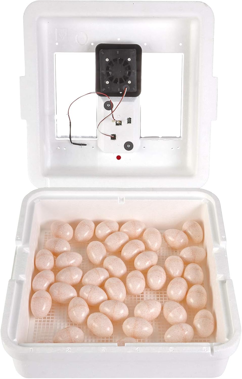 41 Egg Incubator with Temperature and Humidity Control D11616