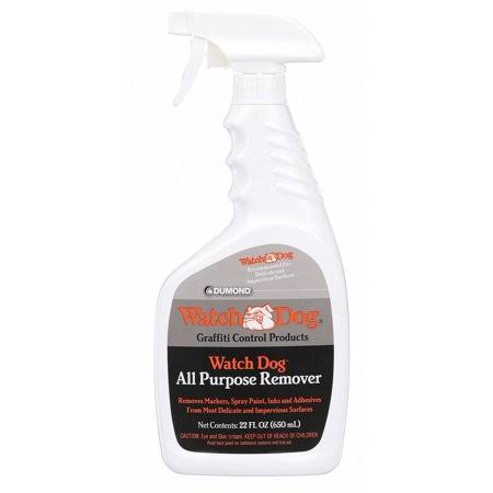 All Purpose Graffiti Remover, 22 oz D64211