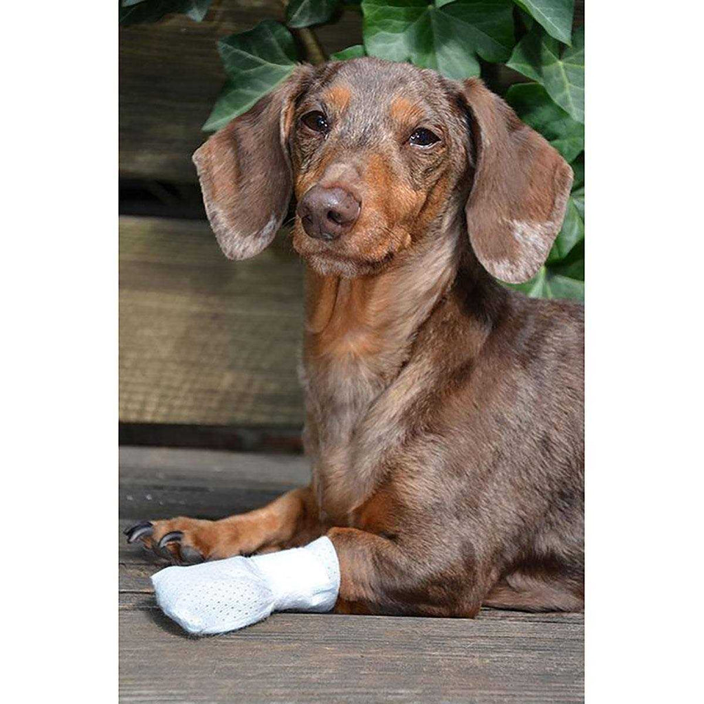 Paw Bandages for Dogs Cats and Pets Y66094